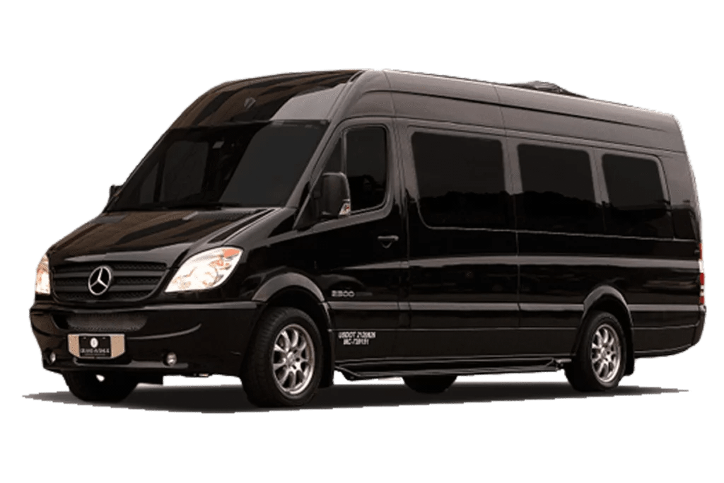 Sprinter VIP Coach - 10-16 Passengers